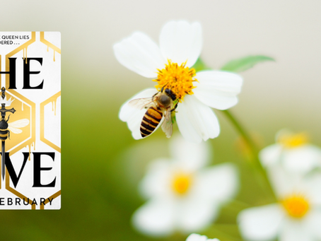 The Little Interview with Anna February - The Hive