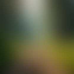 Why Do People With PTSD Tend to Keep to Themselves