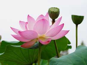                    Soul practices: making time for soul