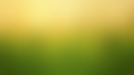 Awakening to soul: hearing the Call  