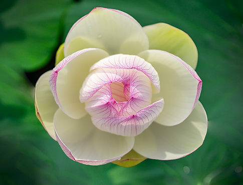 Book image small .jpg