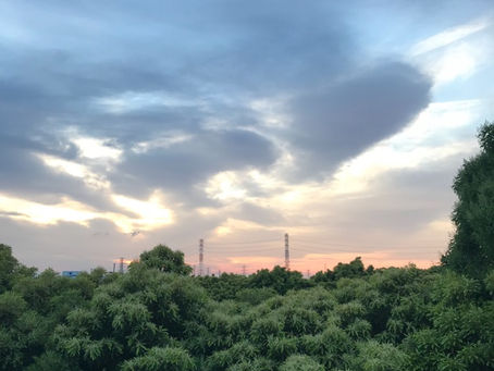 6月のお知らせ