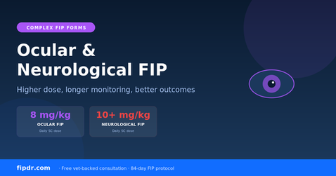 Ocular and Neurological FIP: A 2026 Guide for Cat Owners