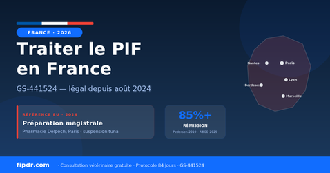 Treating PIF in France 2026: GS-441524 Access After the 2024 Authorization