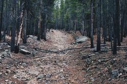IMG_4885_edited