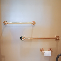 Grab bars in bathroom