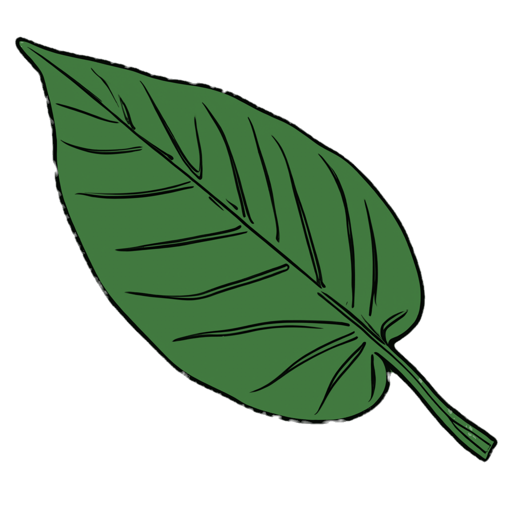 simple outline of a leaf