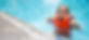 iStock-1340456416.jpg