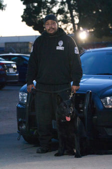 Explore McGill Security's K-9 Guard Services