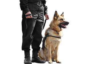 McGill Security K-9 Services we are an LBE MBE organization serving the San Francisco Bay Area and beyond.