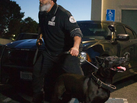 🔒💼 The Importance of Proactive Security Measures in Today's Business Landscape 💼🔒