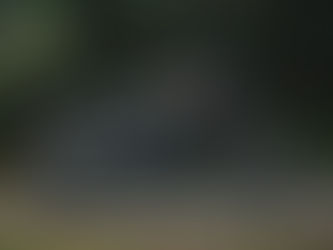 Royal Enfield Continental GT 650 deixa o mercado brasileiro