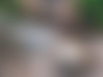 macbook, ipad e café