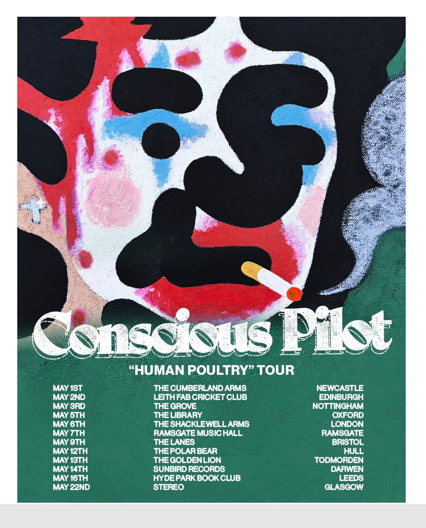 Conscious Pilot