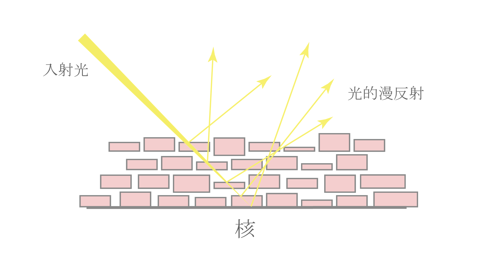 真珠層　光の乱反射-taiwan.gif