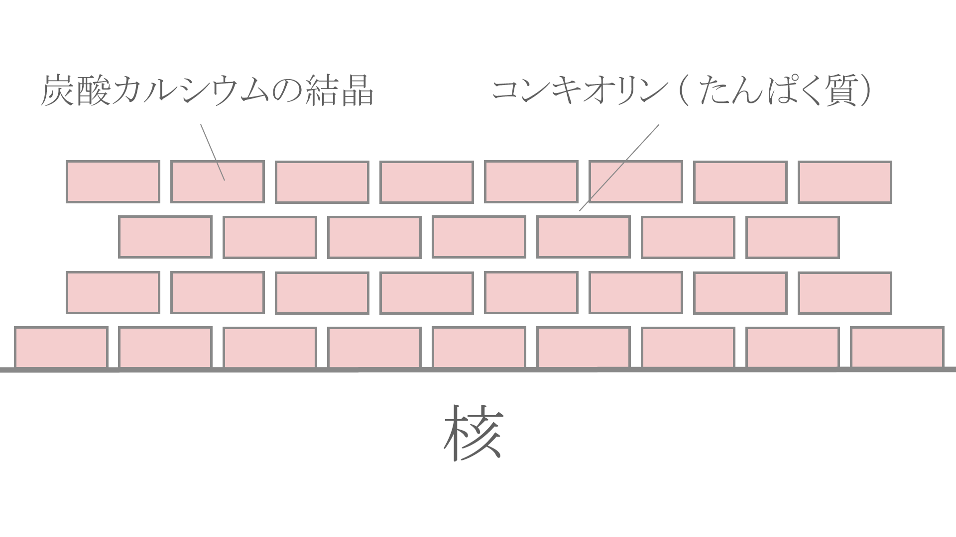 真珠の結晶構造 天成真珠