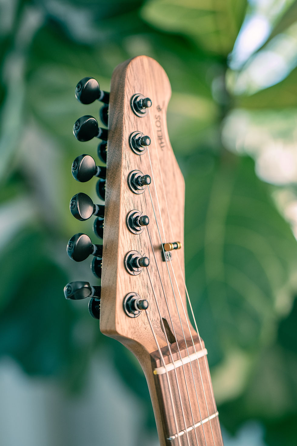 Thumbnail: Thelos 1-Piece Walnut Semi-Hollow