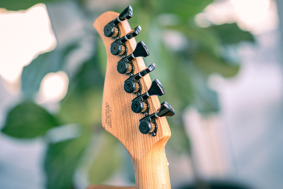 Thumbnail: Kestrel Figured Alder with GFS Foil & Bar Pole Pickups