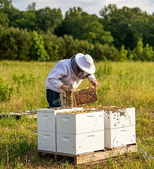 AJ and bees.jpg