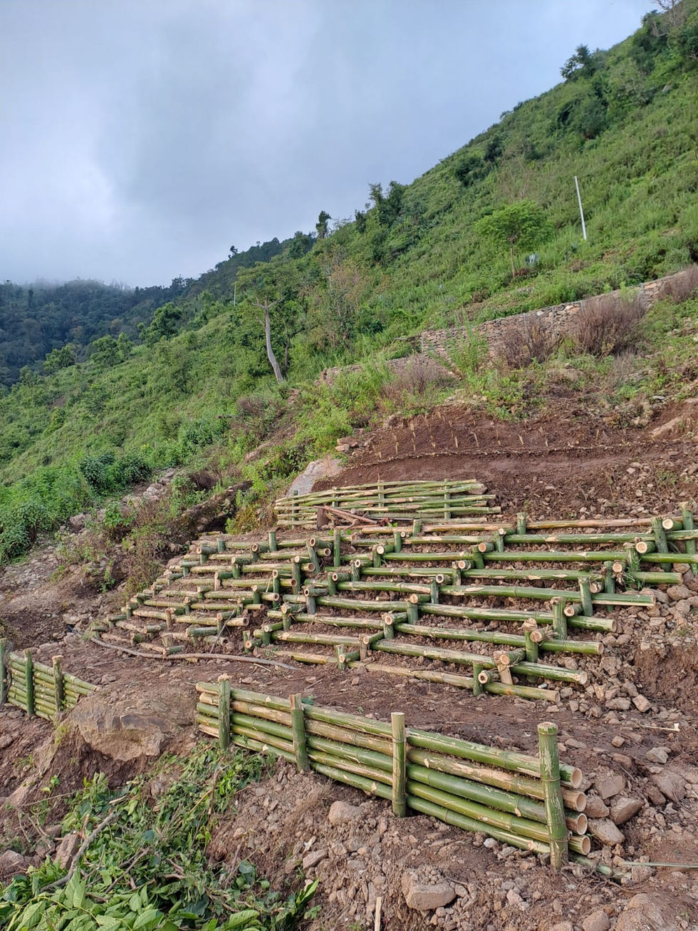 WhatsApp Image 2025-08-16 at 18.31.34