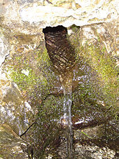 Tapping a spring source