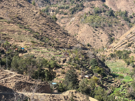 From the Frontlines of the Himalayas: A Call for Accelerated Climate Action 