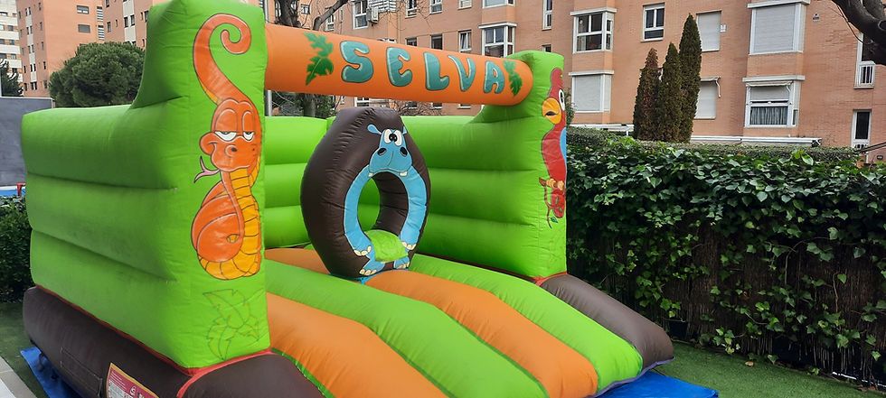 Castillo Hinchable La Selva