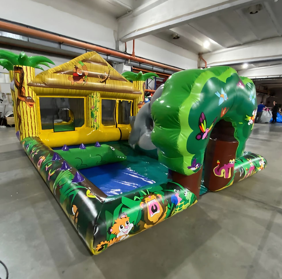 Castillo hinchable LUDOTECA