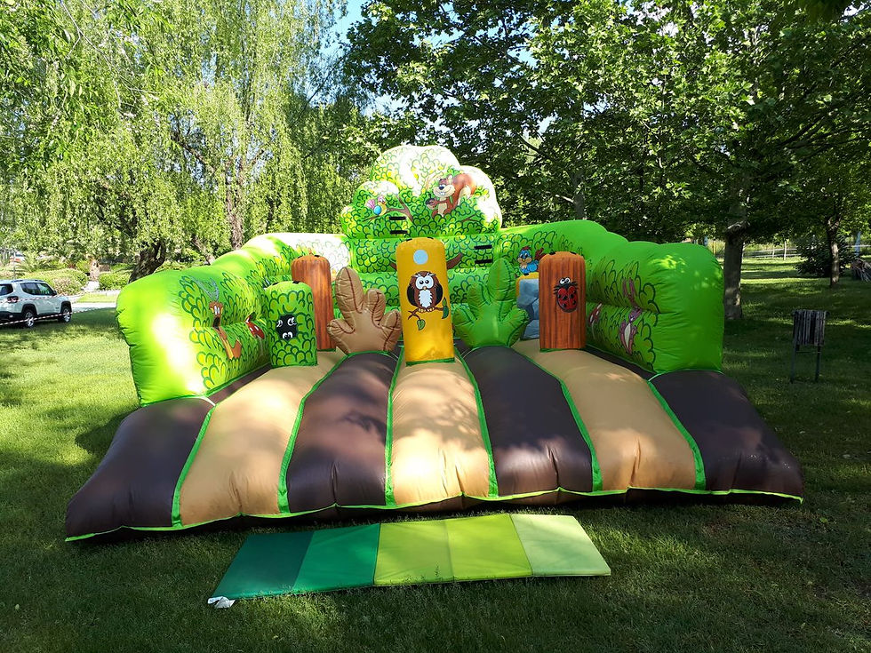 Castillo hinchable LA GRANJA