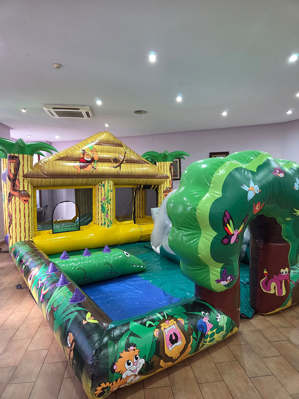 Castillo hinchable LUDOTECA