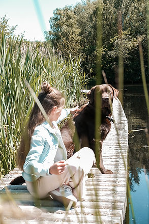 Hond therapie