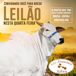 São Francisco Leilões