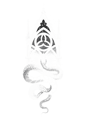 IMG_8901 (1).PNG