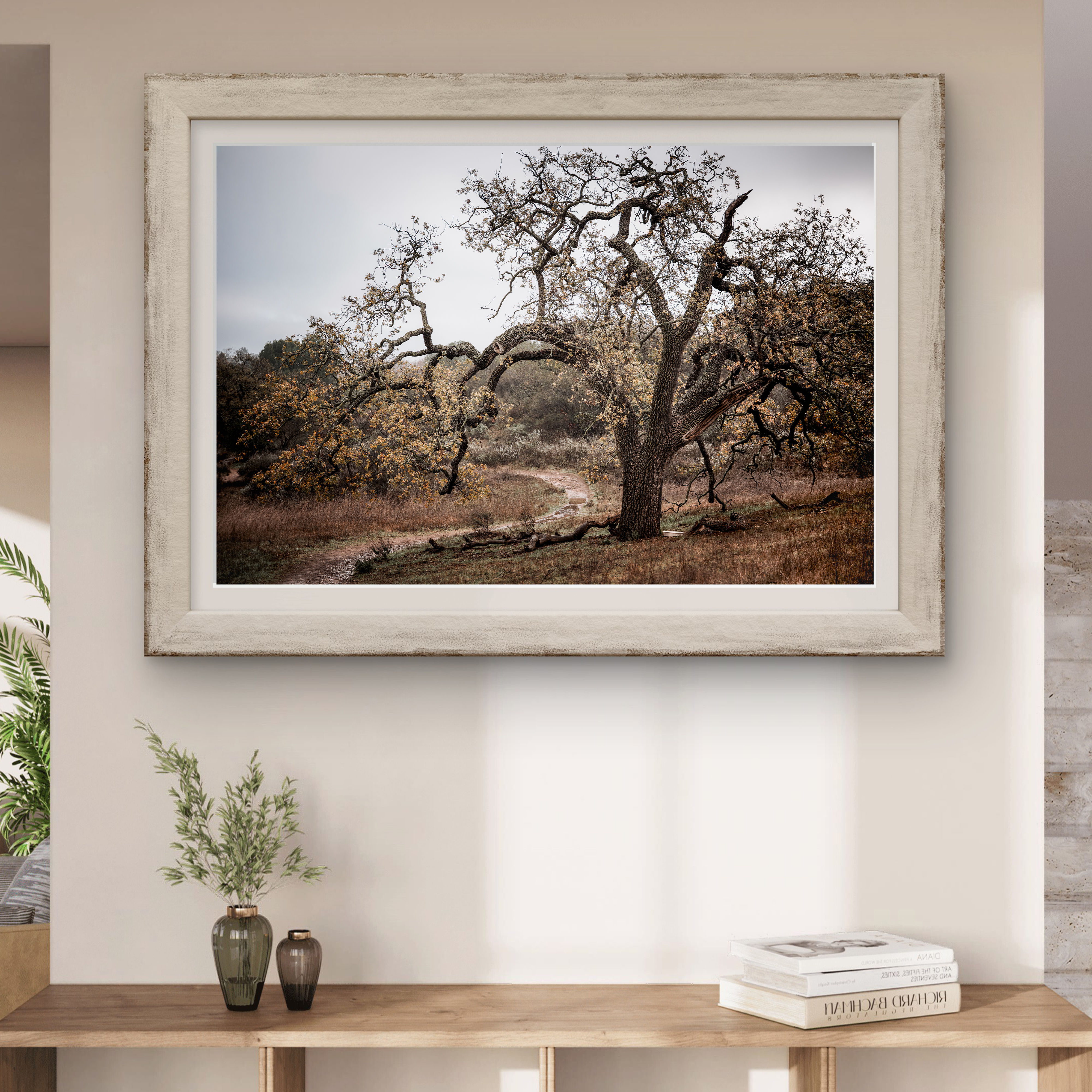 The Old Oak