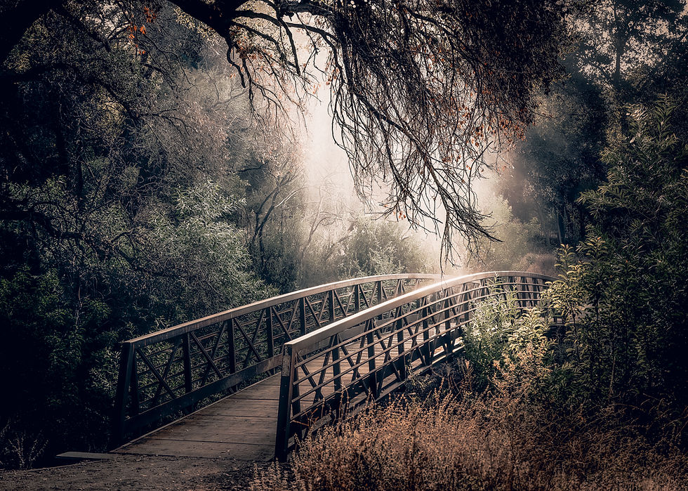 Thumbnail: Our Bridge