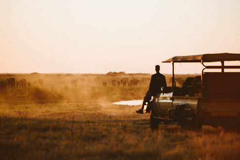 Botswana-Luxury-Safari-African-Bush-Camps
