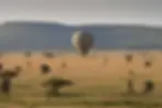 Serengetti Blloon Safari