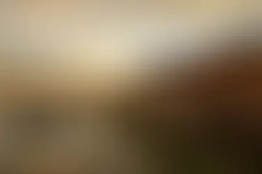 Micato Safaris vs Abercrombie & Kent: Which Luxury Safari Operator