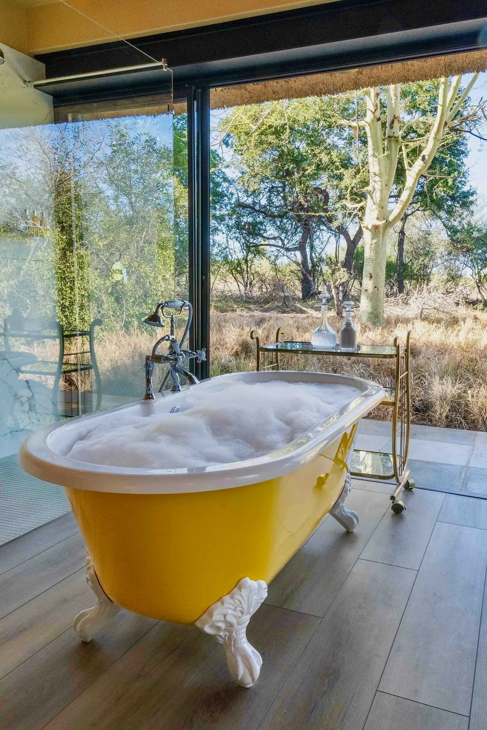 Luxury Bath Tub With a View on Safari