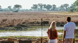 Planning your first African safari