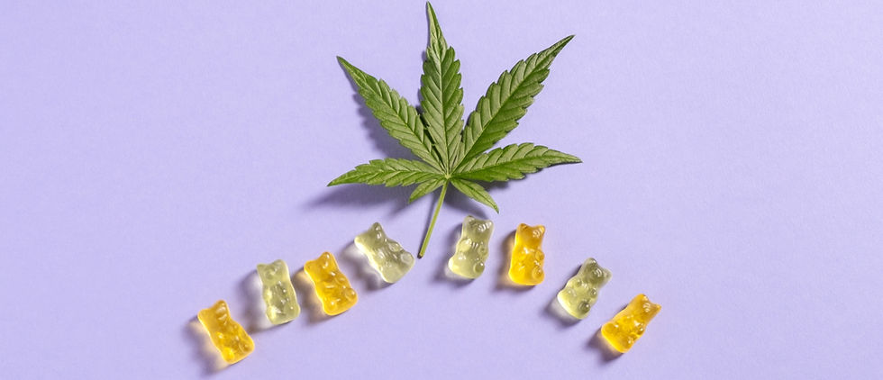 HighTea guide to Edibles in South Africa. Cannabis leaf with yellow and green gummy bears on a light purple background, arranged in a slight curve.