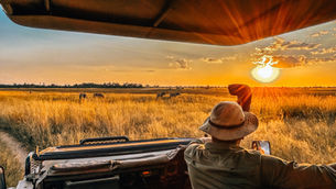 Golden Africa Safari - Luxury Roving Camp Safari in Botswana: A Sustainable Adventure