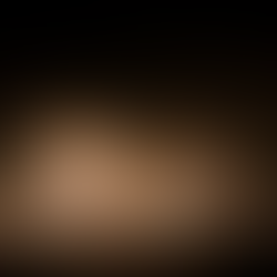 Leopard spotted on Night Safari Drive