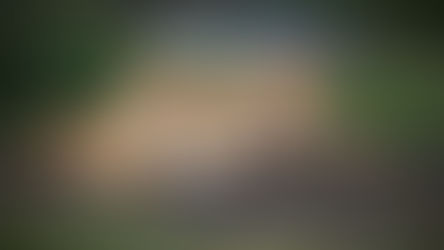 Exploring the Wonders of Lake Ndutu: A Must-Visit Destination on Your Tanzanian Safari