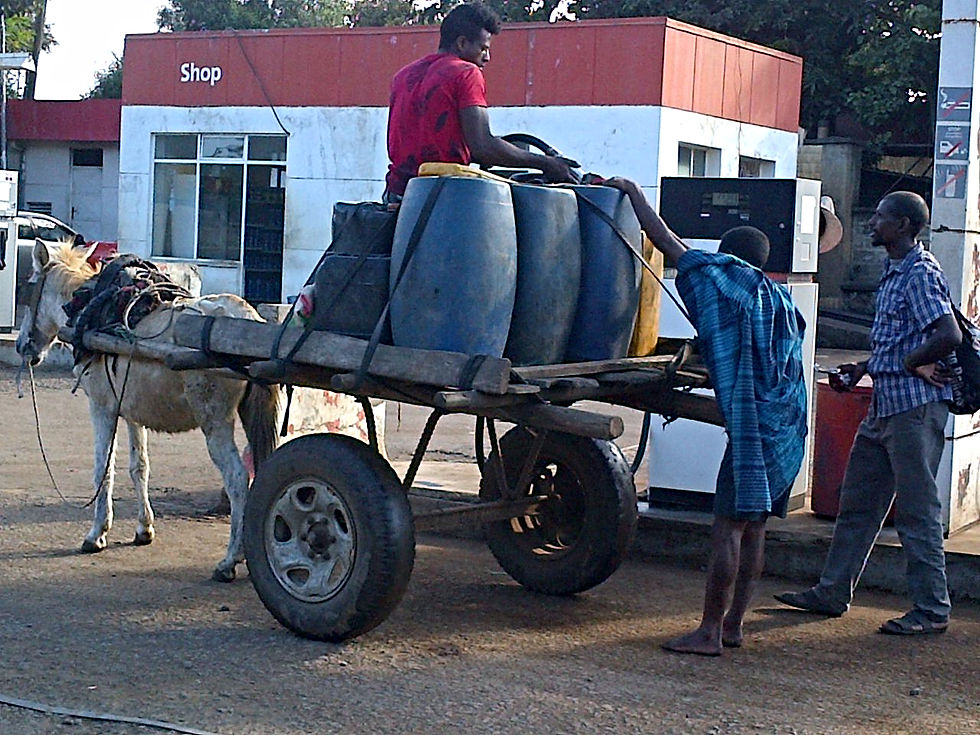 Horse Drawn Cart Getting Fuel in Tana Ethiopia