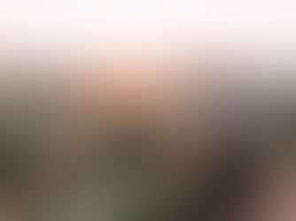 10 Best African Safari Travel Agents & Planners for 2026