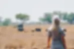 Woman in foreground gazes at elephants walking in a dry, grassy savanna with green trees scattered in the background under clear skies.