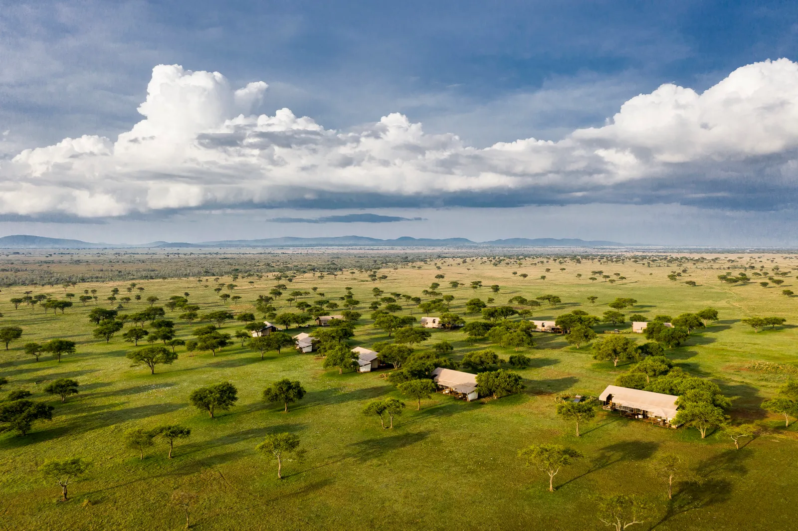 Sabora Tented Camp, Serengeti Plains Luxury Safari