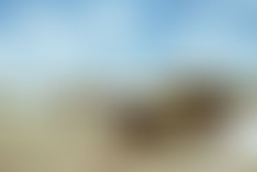 Best African Safari Tours