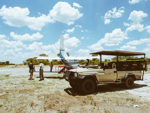 Best African Safari Tours